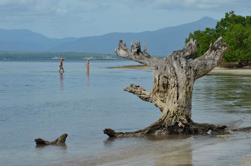 Необитаемый пляж в Пуэрто Принцессе: остров доктора Моро