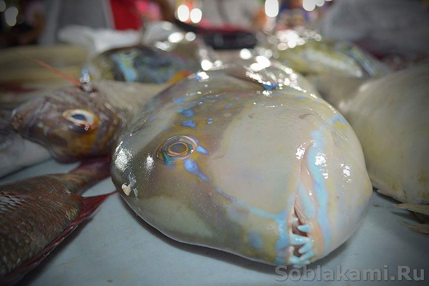 Филиппинская рыба: названия, фото, рецепты