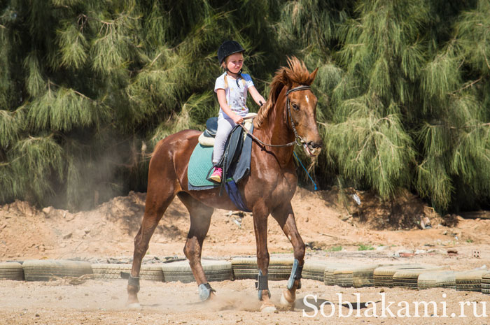 конный клуб Horse4you в Хургаде, девочка на лошади, фото
