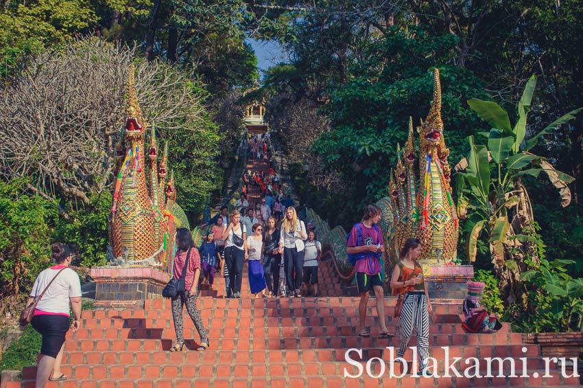 Гора и храм Дои Сутеп в Чиангмае, фото, отзывы