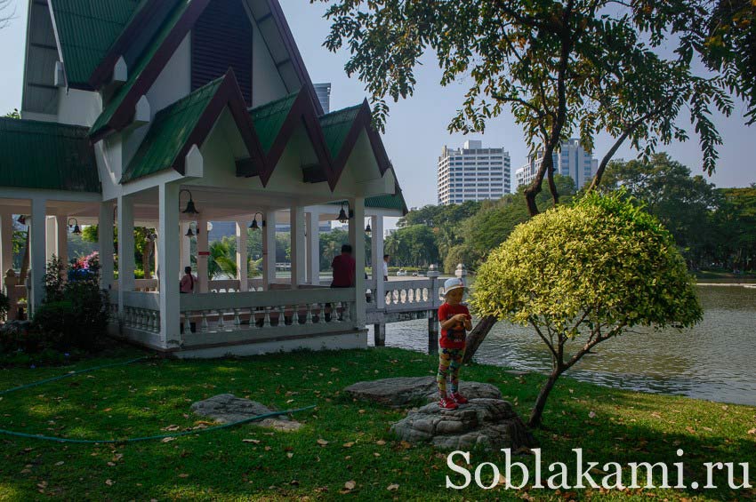 парк Люмпини в Бангкоке,Таиланд (Lumphini park Bangkok)