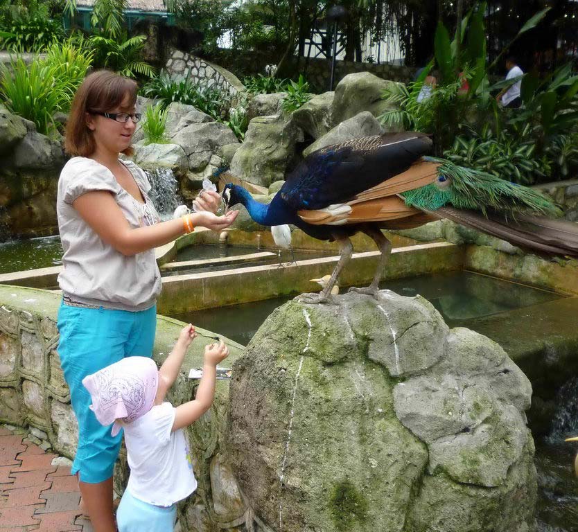 Гигантский Парк птиц в Куала-Лумпуре