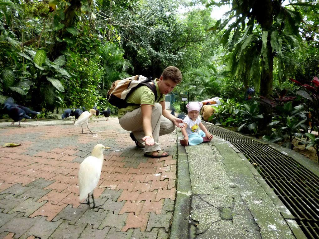 Куала-Лумпур, парк птиц, Малайзия